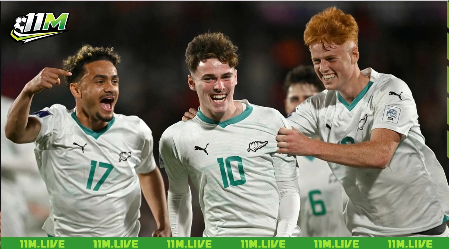 đội tuyển bóng đá quốc gia new zealand